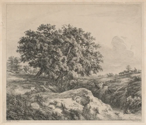 Le chêne au ravin (Oak Tree by a Ravine) by Eugène Bléry, print, 1845