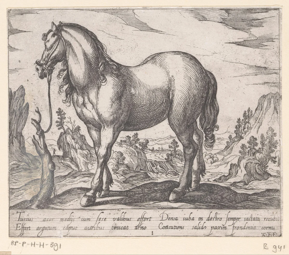 Een paard vastgemaakt aan een boomstronk by Unknown, print, 1590