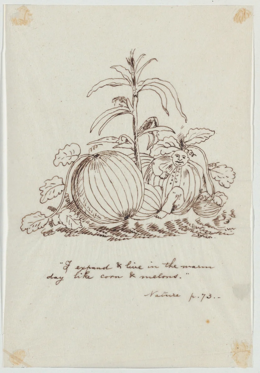 I Expand and Live in the Warm Day Like Corn and Melons (Illustration for Ralph Waldo Emerson's "Nature") by Christopher Pearse Cranch, drawing, 1830-1892