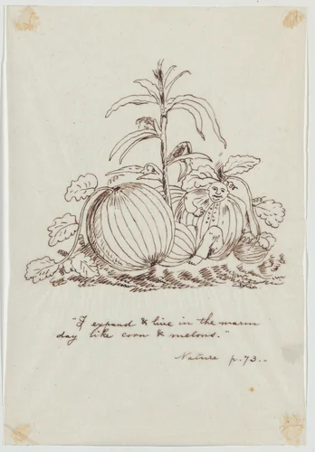 I Expand and Live in the Warm Day Like Corn and Melons (Illustration for Ralph Waldo Emerson's "Nature") by Christopher Pearse Cranch, drawing, 1830-1892