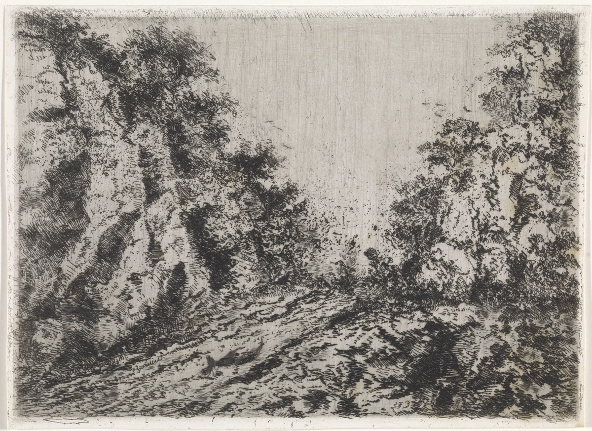 Pad tussen rotsen by Arnoud Schaepkens, print, 1855-1904