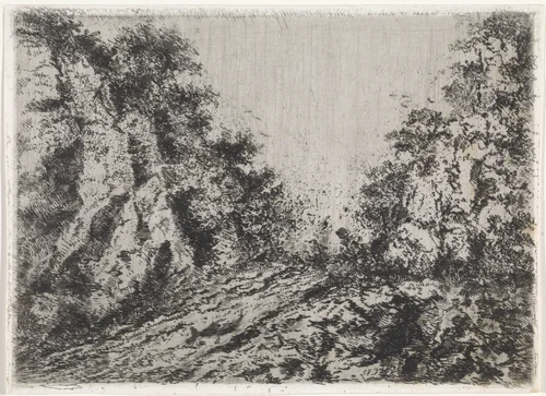 Pad tussen rotsen by Arnoud Schaepkens, print, 1855-1904