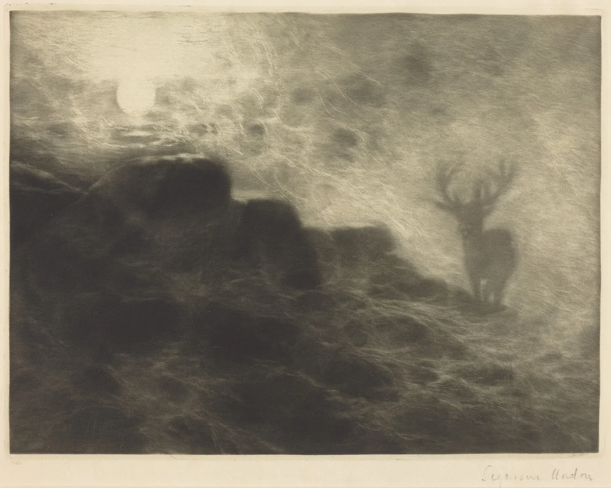 An Early Riser by Francis Seymour-Haden, print, 1897