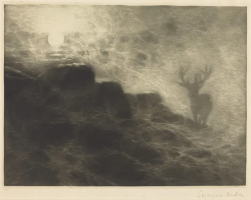 An Early Riser by Francis Seymour-Haden, print, 1897