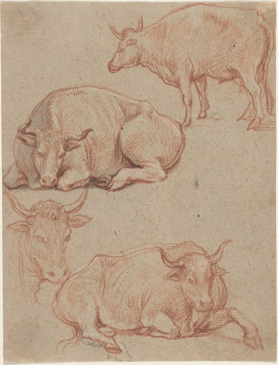 Four Cows by Claude Lorrain, drawing, 1600-1682