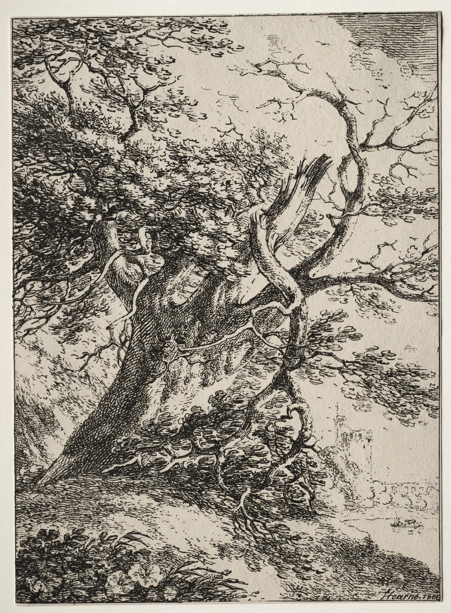 Specimens of Polyautography: Landscape with an Oak Tree by Thomas Hearne, print, 1803