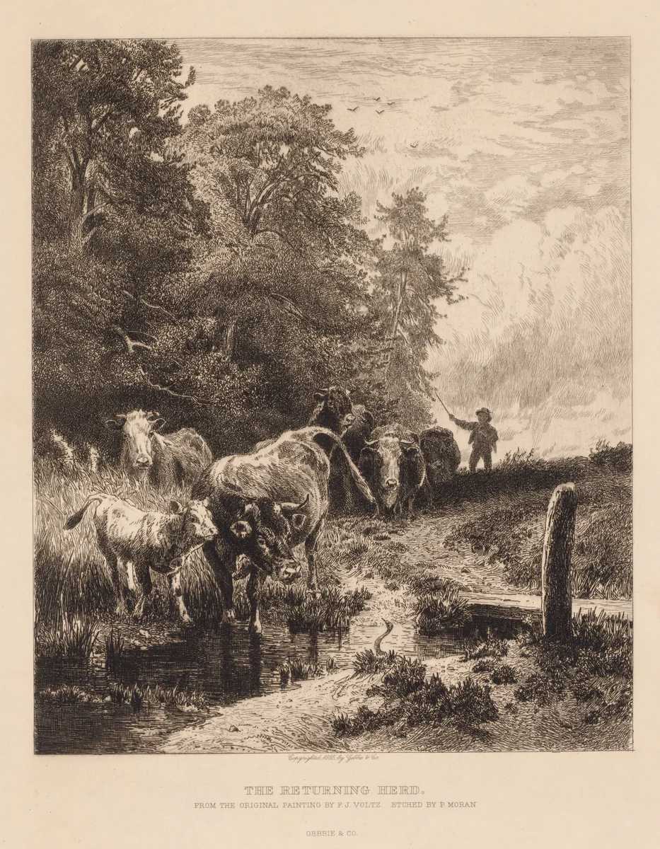 The Returning Herd by Peter Moran, print, 1880-1890