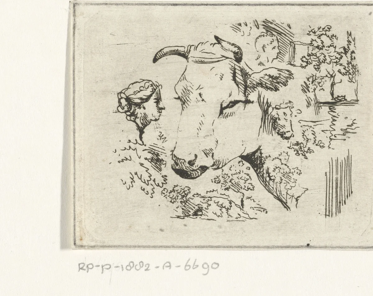 Studieblad met koeiekop by Hermanus Fock, print, 1781-1822