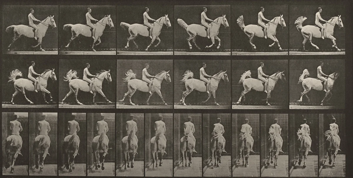 Plate Number 622. "Smith" cantering, saddled; rider nude by Eadweard Muybridge, photograph, 1887