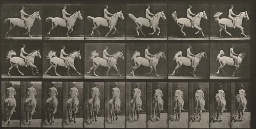 Plate Number 622. "Smith" cantering, saddled; rider nude by Eadweard Muybridge, photograph, 1887