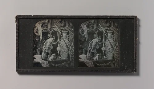 [Still-Life with Cockatoo, Mirror, Ornamental Ball, Vases, and Lace] by T. R. Williams, photograph, 1850-1859