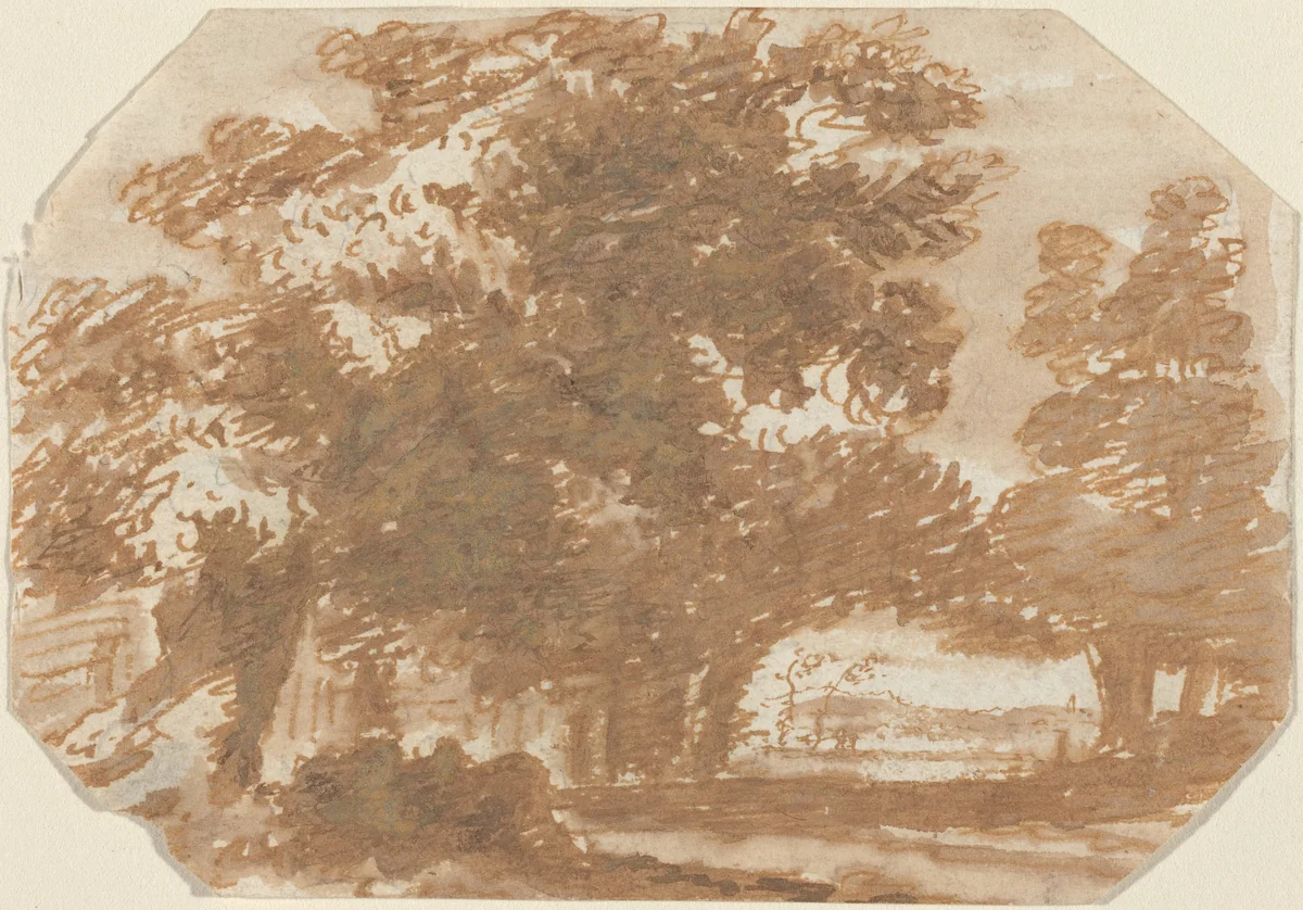 Grove of Trees by Claude Lorrain, drawing, 1640