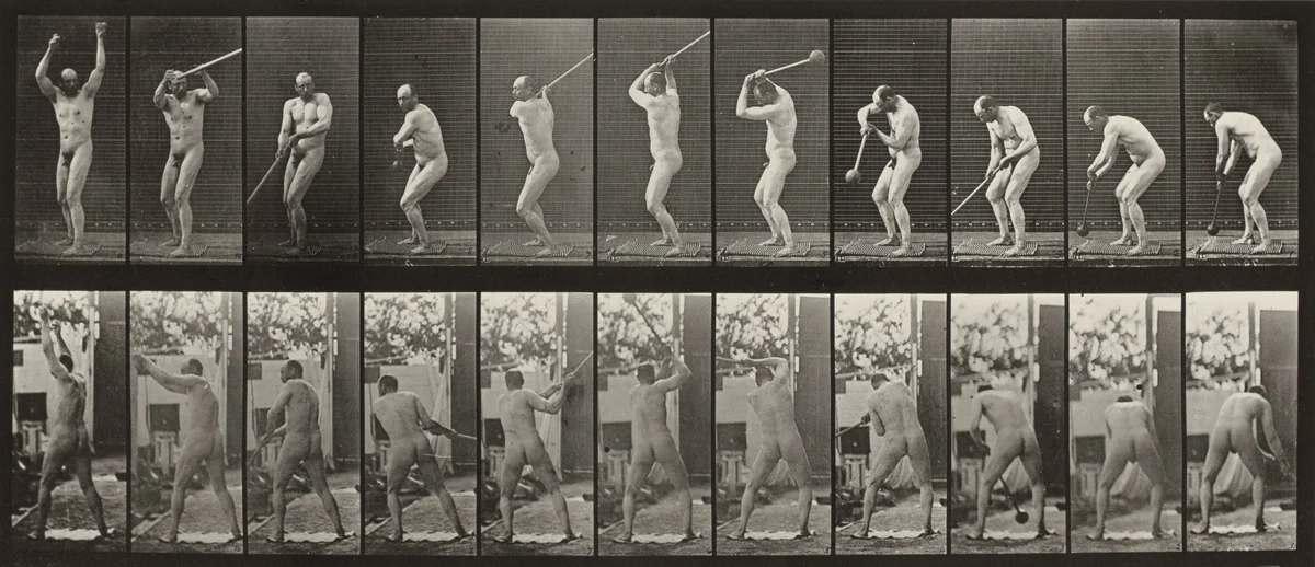 Plate Number 308. Throwing the hammer by Eadweard Muybridge, photograph, 1887