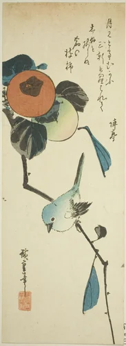 Japanese white-eye and persimmons by Utagawa Hiroshige (歌川広重), print, 1830-1839