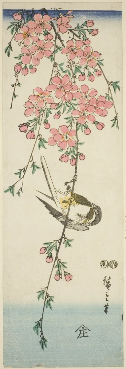 Great tit and cherry blossoms by Utagawa Hiroshige (歌川広重), print, 1842-1857
