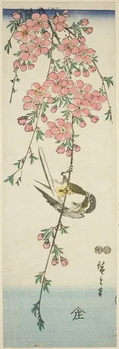Great tit and cherry blossoms by Utagawa Hiroshige (歌川広重), print, 1842-1857