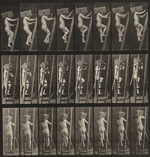 Plate Number 405. Carrying a hod of bricks up a ladder by Eadweard Muybridge, photograph, 1887