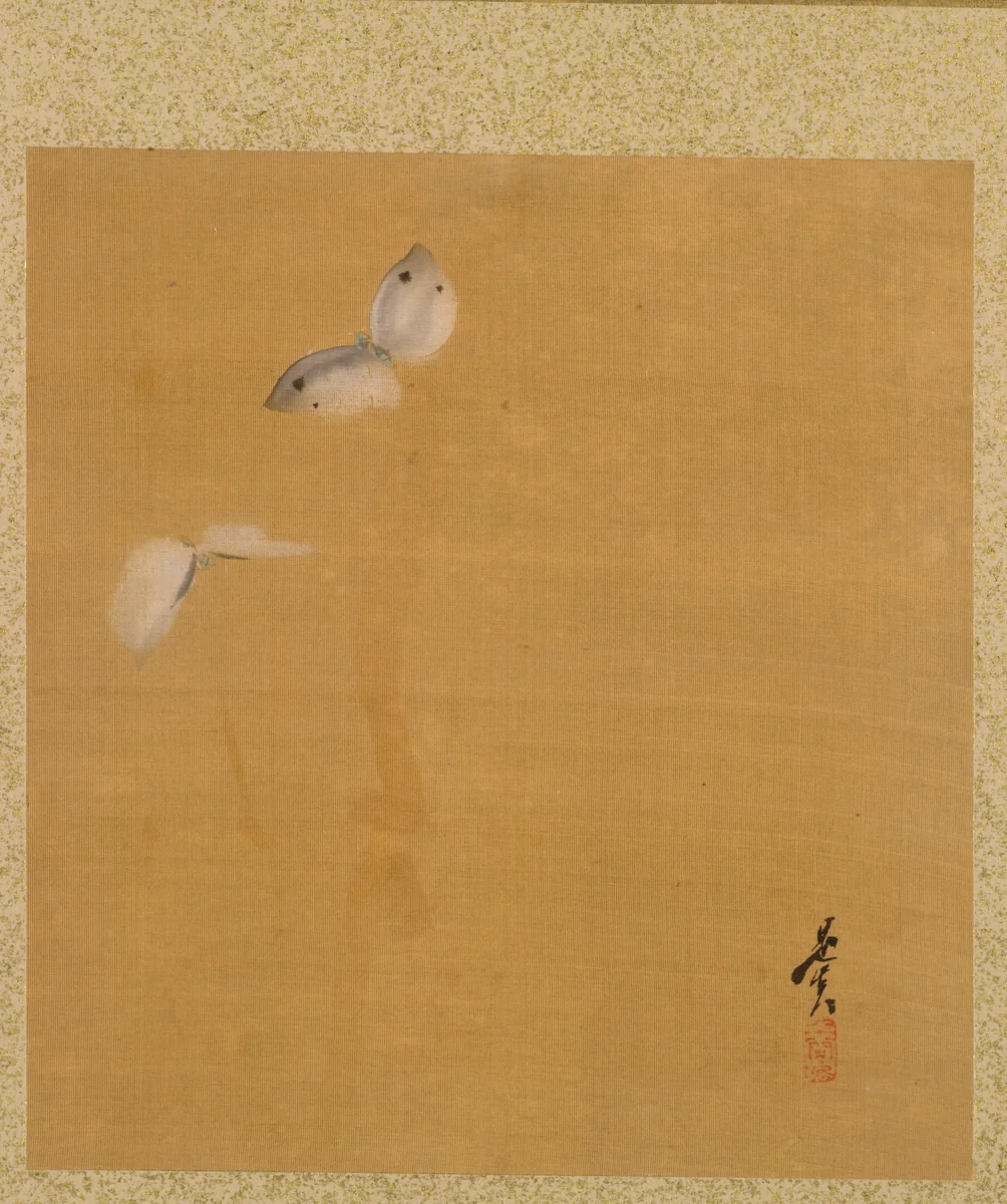 Moths from Album of Paintings by the Venerable Zeshin by Shibata Zeshin (柴田是真), book, 1847