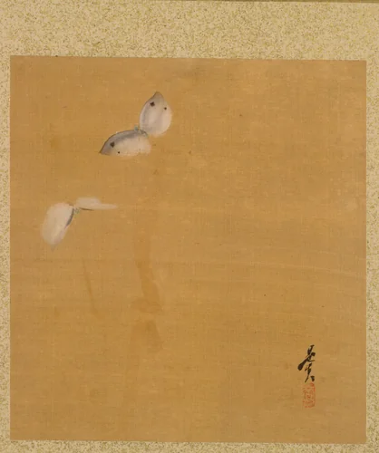 Moths from Album of Paintings by the Venerable Zeshin by Shibata Zeshin (柴田是真), book, 1847