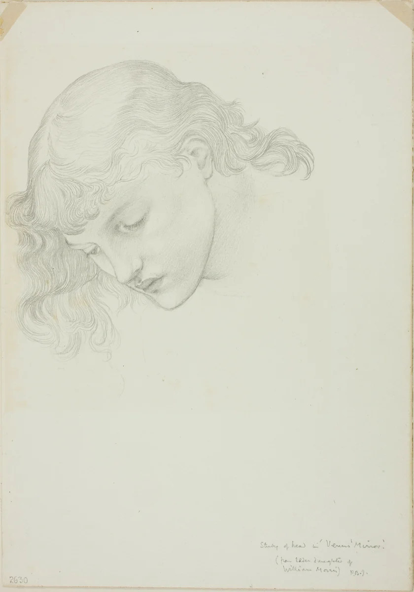 Head, Study for Mirror of Venus by Edward Burne-Jones, drawing, 1868-1883