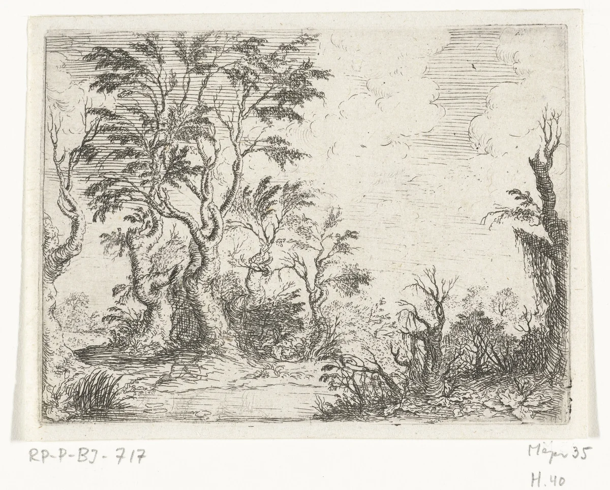 Landschap met loofbomen by Willem Basse, print, 1633-1672