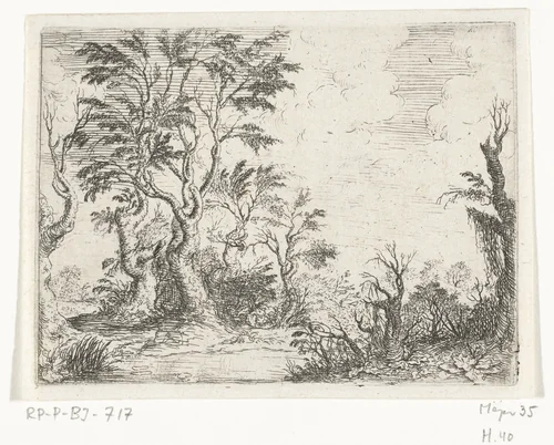 Landschap met loofbomen by Willem Basse, print, 1633-1672
