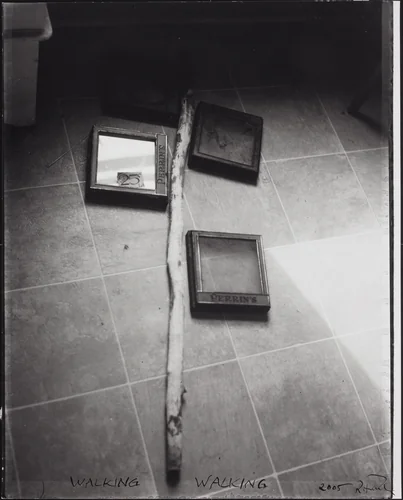 Walking Walking by Robert Frank, photograph, 2005