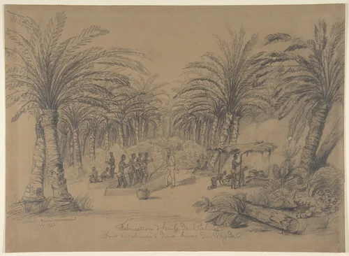 The Production of Palm Oil by anonymous, drawing, 1844