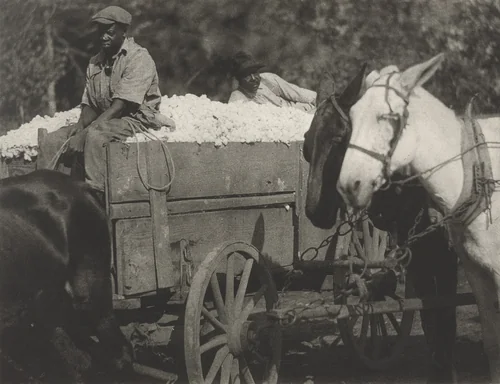 Untitled by Doris Ulmann, photograph, 1929