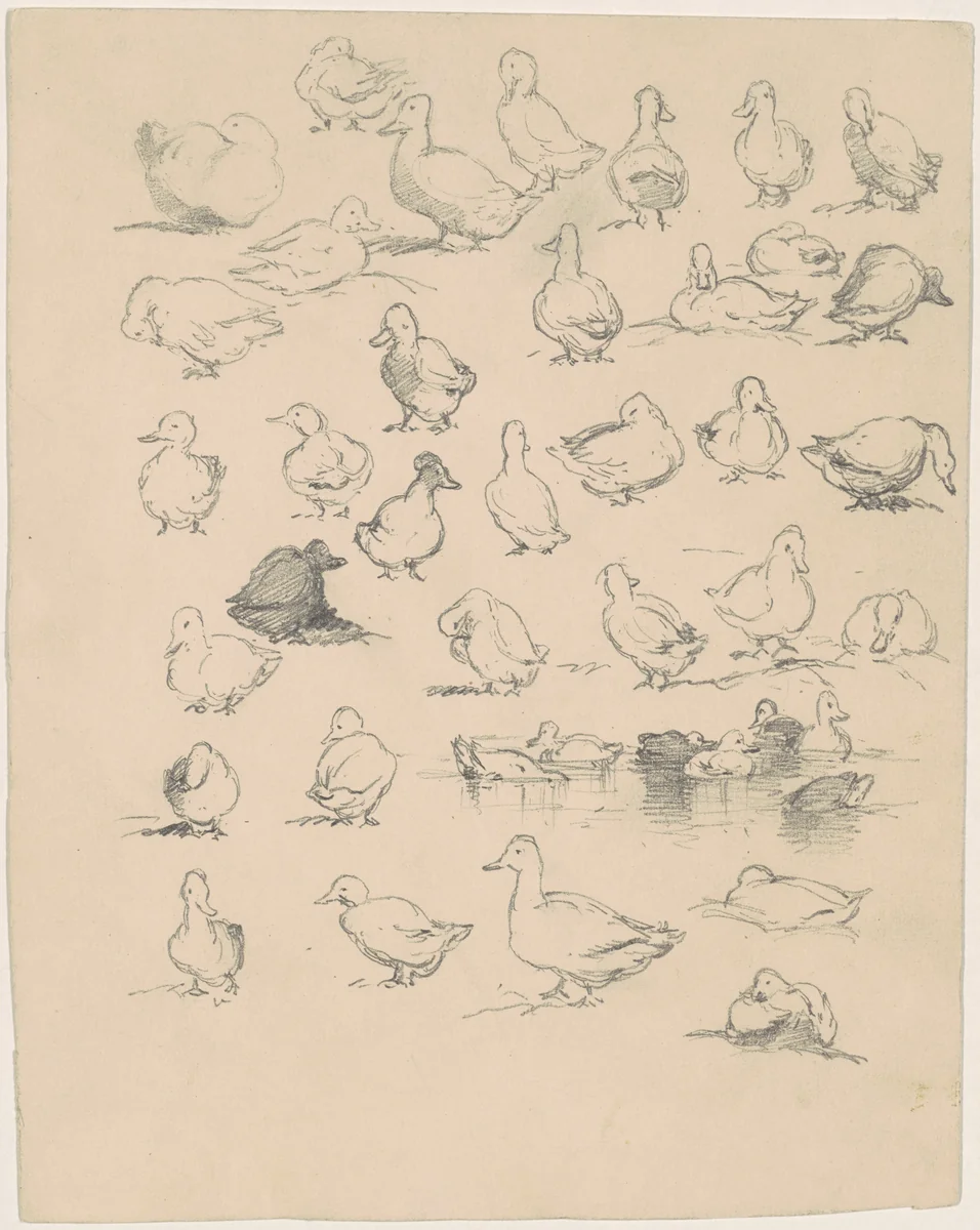 Ducks by Andrew Fisher Bunner, drawing, 1870-1889