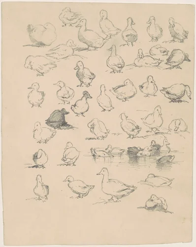 Ducks by Andrew Fisher Bunner, drawing, 1870-1889