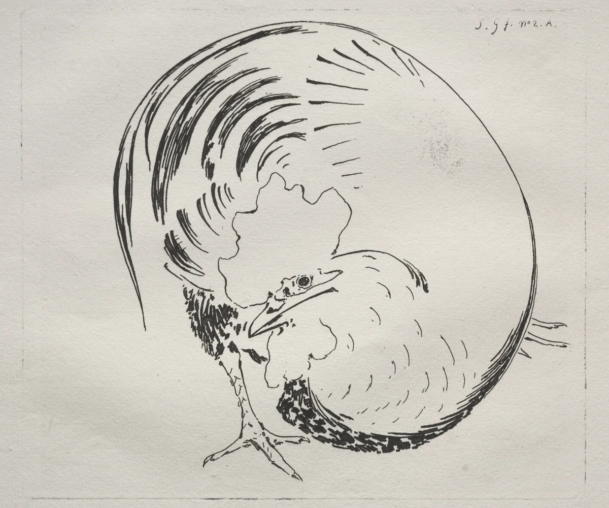 The High-Fired Service: Rooster (counterproof) by Félix Bracquemond, print, 1855-1865