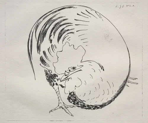 The High-Fired Service: Rooster (counterproof) by Félix Bracquemond, print, 1855-1865