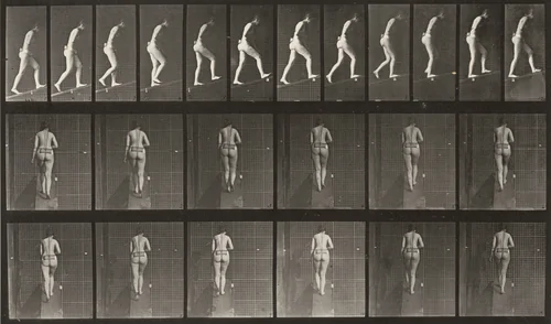 Plate Number 79. Ascending an incline by Eadweard Muybridge, photograph, 1887