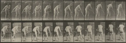 Plate Number 390. Farmer, mowing grass by Eadweard Muybridge, photograph, 1887