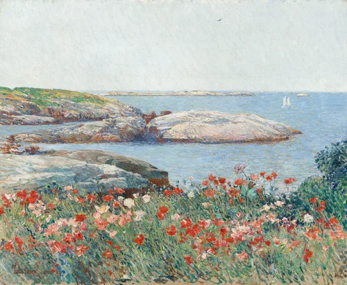 Poppies, Isles of Shoals by Childe Hassam, painting, 1891