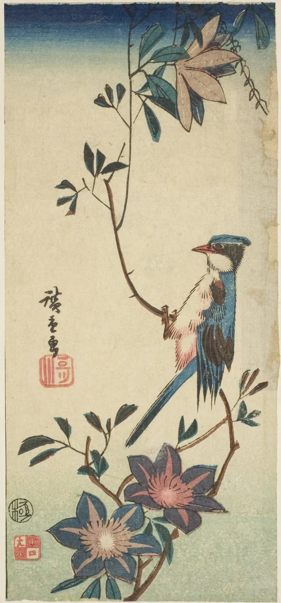 Blue bird on clematis by Utagawa Hiroshige (歌川広重), print