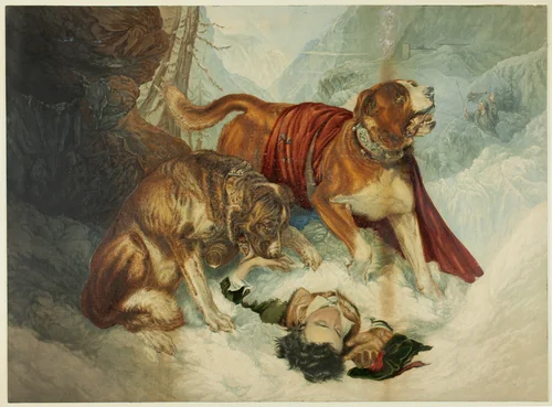 The Dogs of St. Bernard by George Baxter, print, 1824-1867