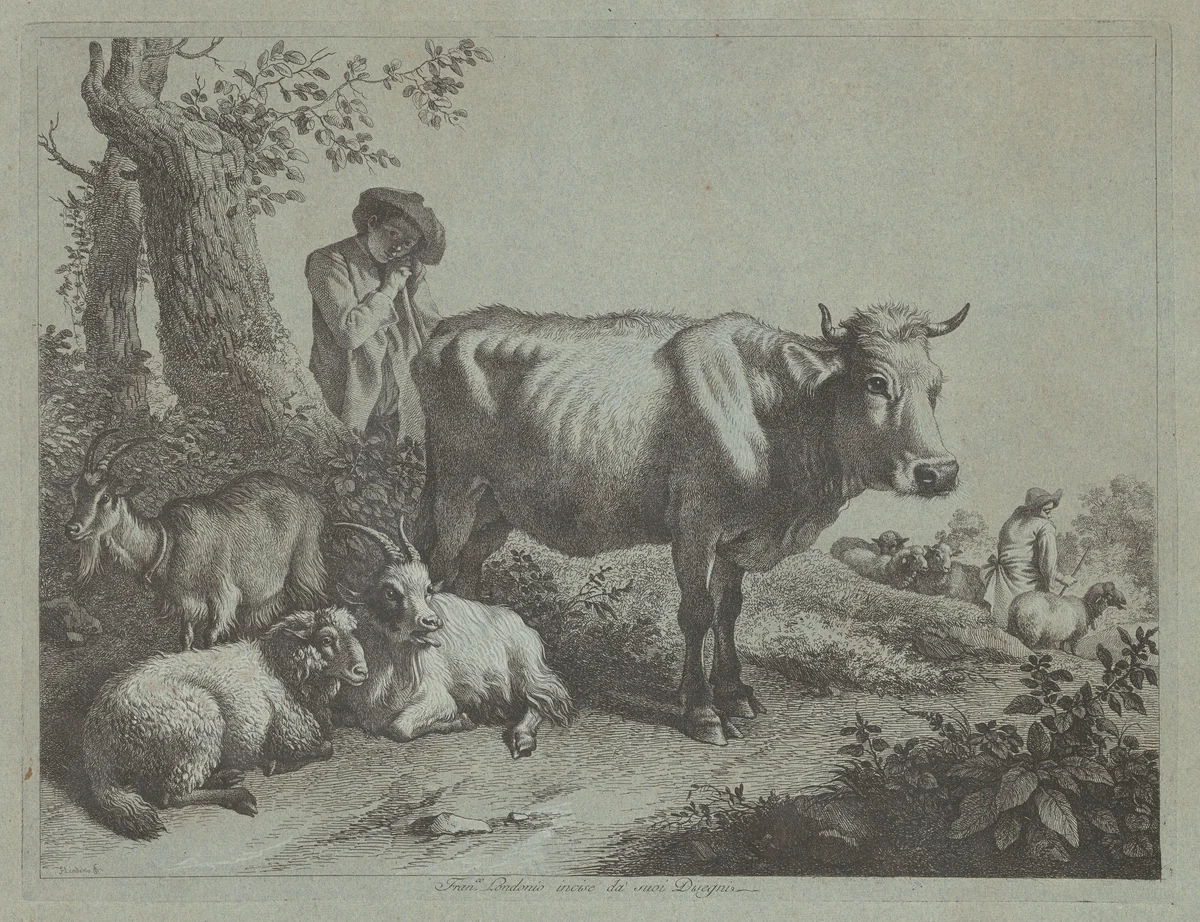 Standing Cow and a Shepherd Boy with Flock by Francesco Londonio, print, 1760-1769