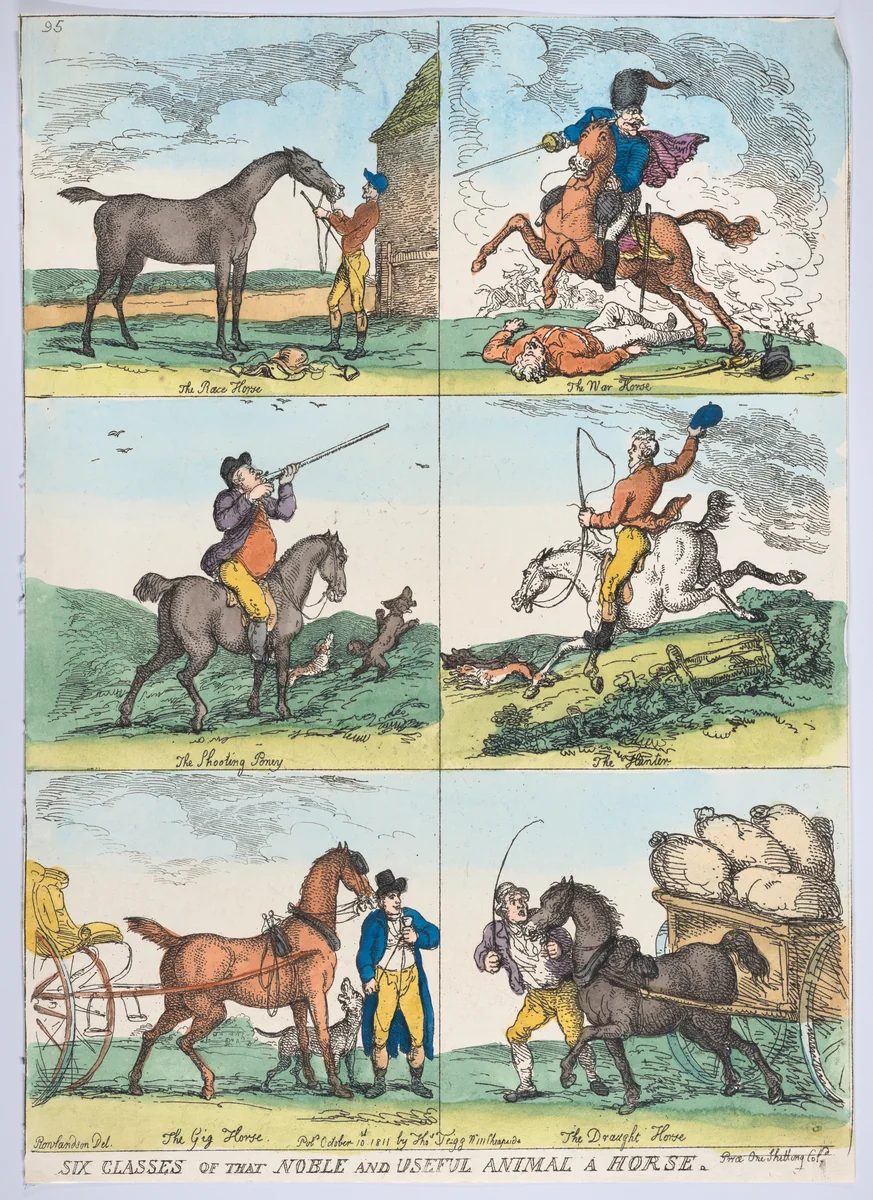 Six Classes of the Noble and Useful Animal a Horse by Thomas Rowlandson, print, 1811