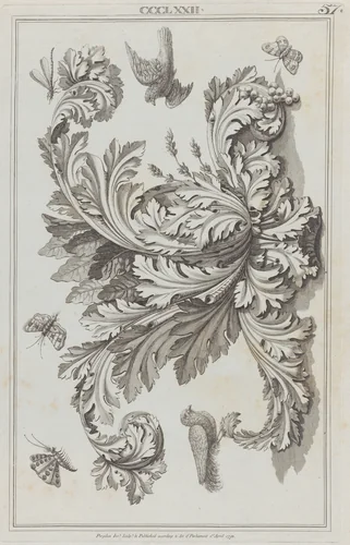 Acanthus Leaves, Birds and Insects, no. CCCLXXII, plate 57 from "Designs for Various Ornaments" by Michelangelo Pergolesi, print, 1792