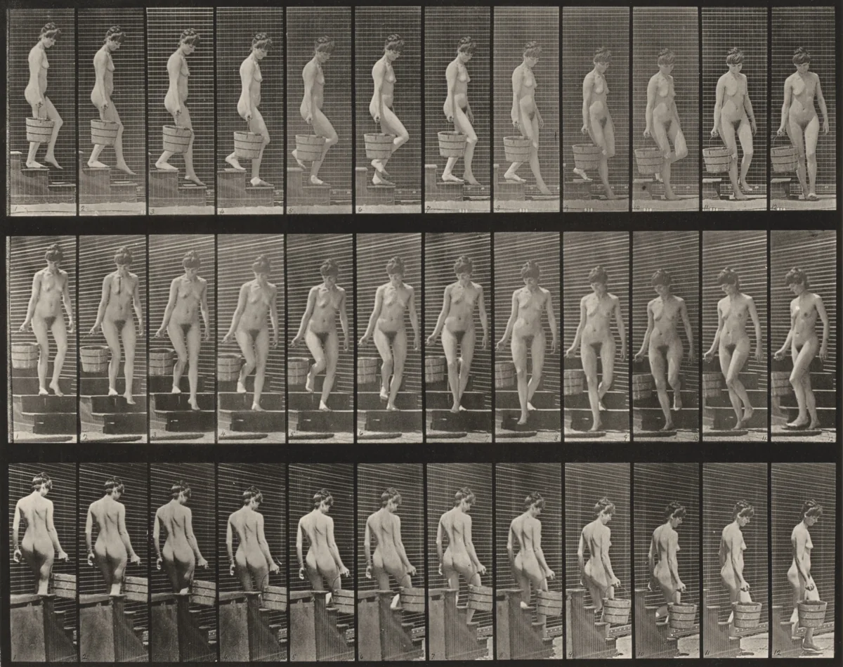 Plate Number 145. Descending stairs and turning with a bucket of water in right hand by Eadweard Muybridge, photograph, 1887