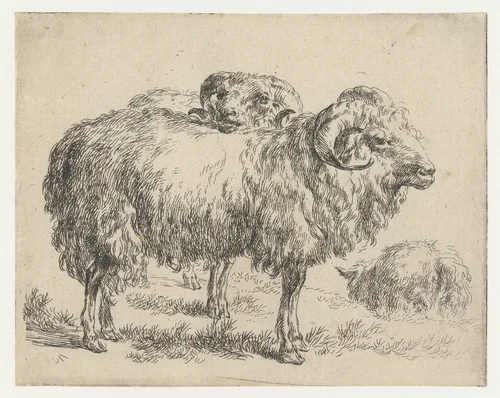 Twee rammen en een schaap by Nicolaes Pietersz Berchem, print, 1648-1652