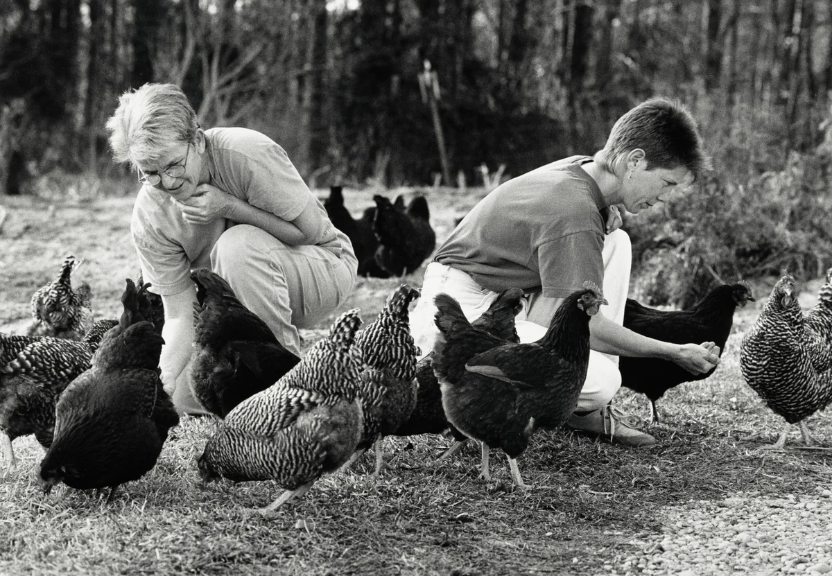 Jean Mills and Carol Eichelberger, no. 2 by Nancy Andrews, photograph, 1993