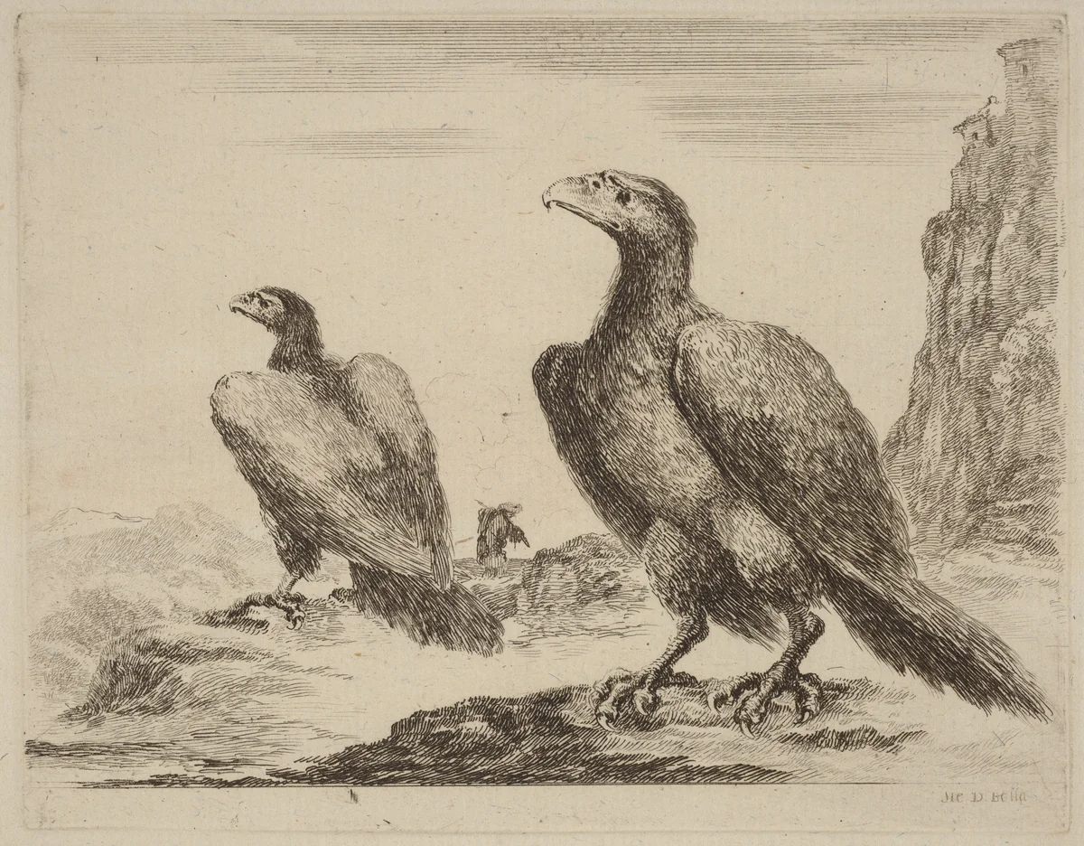 Two Eagles, Both with Heads Turned to the Left, On a High Cliff by Stefano della Bella, print, 1610-1664