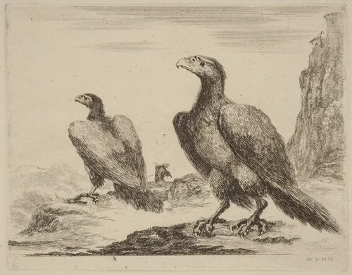 Two Eagles, Both with Heads Turned to the Left, On a High Cliff by Stefano della Bella, print, 1610-1664