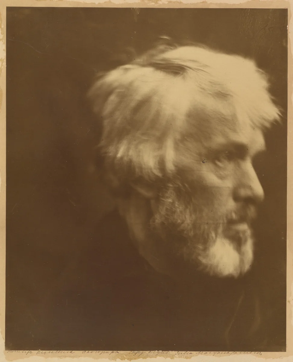 Thomas Carlyle by Julia Margaret Cameron, photograph, 1867