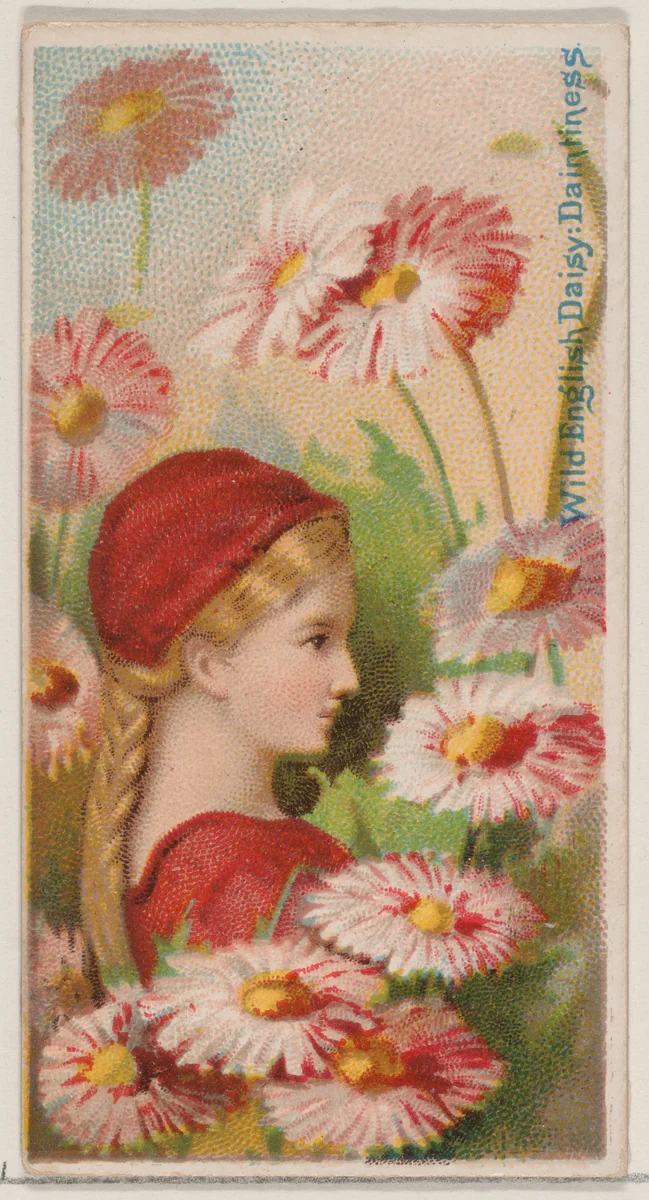 Wild English Daisy: Daintiness, from the series Floral Beauties and Language of Flowers (N75) for Duke brand cigarettes by American Tobacco Company, print, 1892