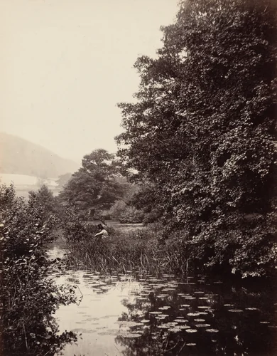 On the River Mole, Surrey by Alfred Rosling, photograph, 1860-1869