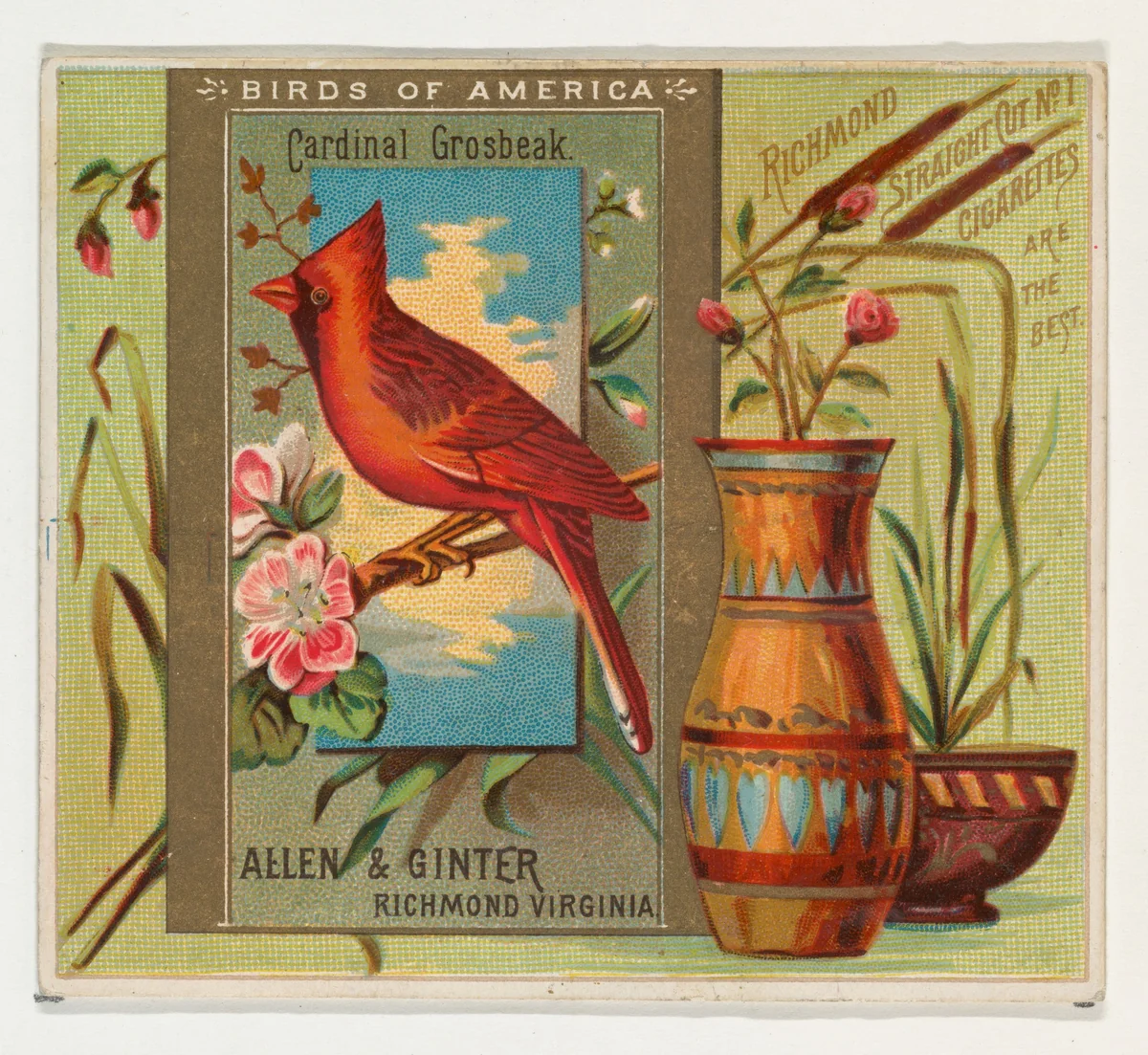 Cardinal Grosbeak, from the Birds of America series (N37) for Allen & Ginter Cigarettes by Allen & Ginter, print, 1888